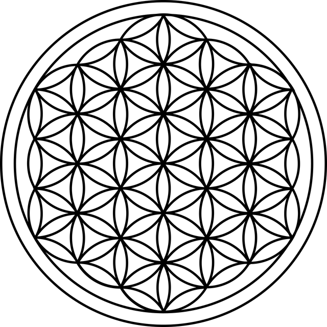 floweroflife1_1024x.png